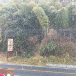 さっ　寒い！！