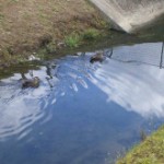 癒されました