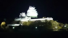 夜桜