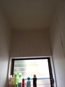 IMG_8128