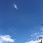 営業同行