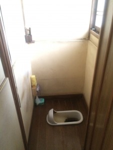 toilet-before2