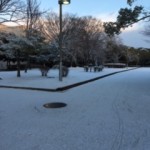 イベント２日目です。