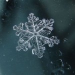 snowflakes_08