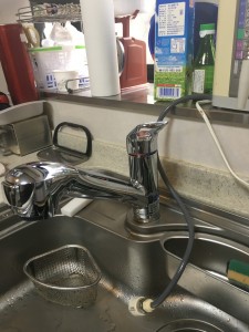 浄水器一体型シャワーホース付水栓