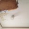 洗面所天井張替工事