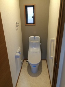 toilet after