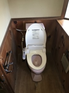 toilet before