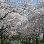お片付け