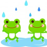雨