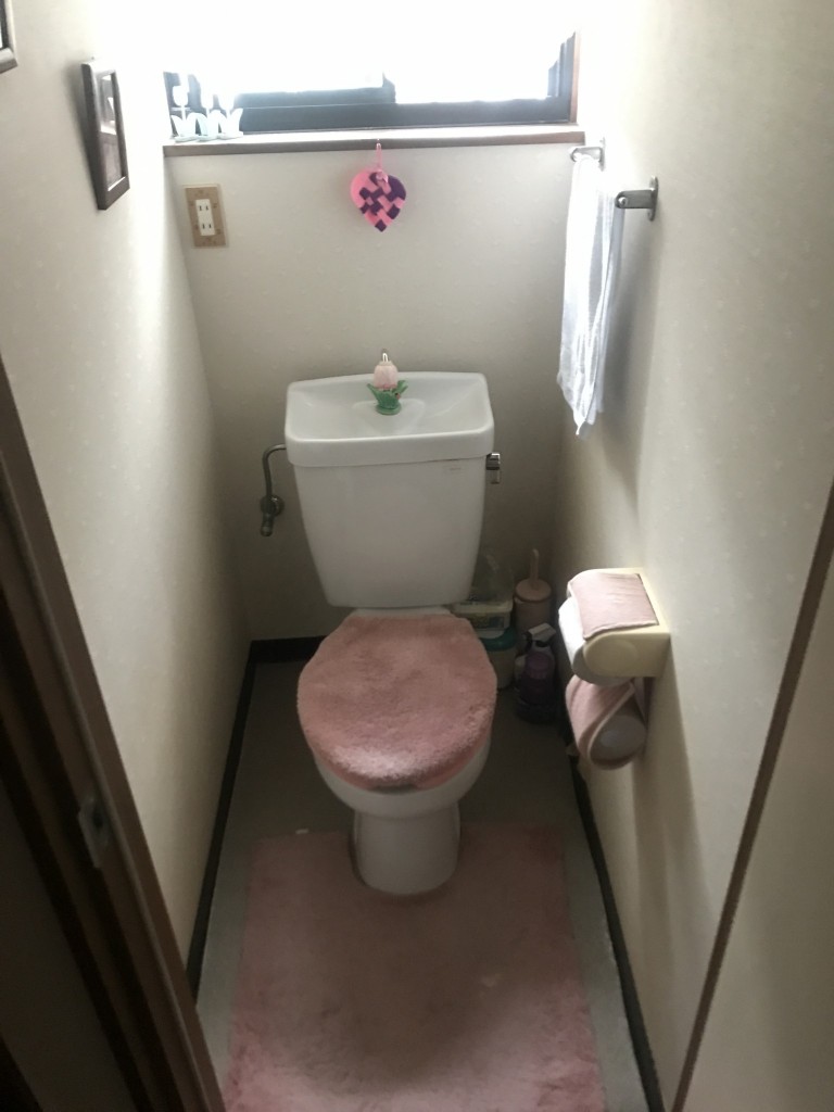 toilet before