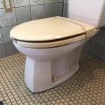 トイレ交換工事が完成しました！