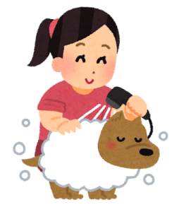 wash_pet_dog