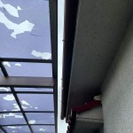 雹被害で多かったお問い合わせ