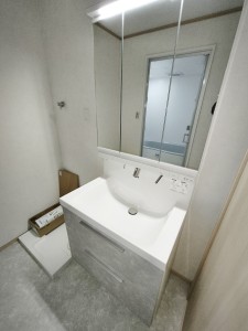 IMG_20250306_132459