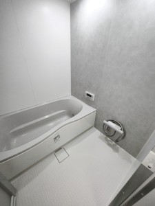 IMG_20250306_132539