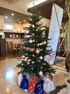 クリスマスツリーの写真