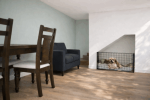 階段下にペットスペースを設けたイメージ画像