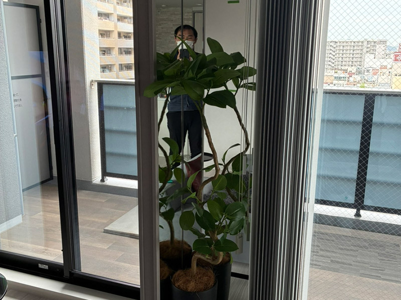 絵が引き立つ内装になりました03